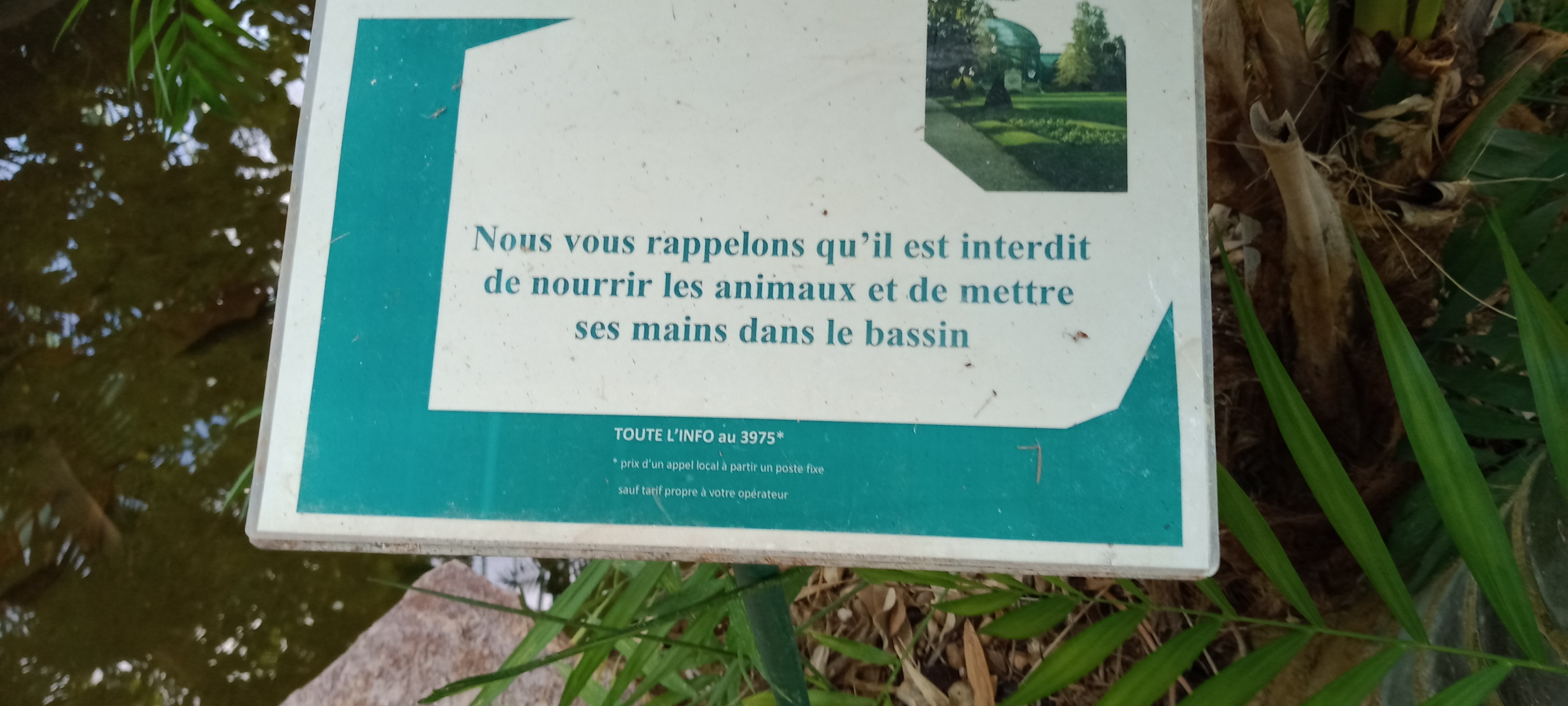 Photo n° 27 de l'avis de Golden.l fait le 29/05/2022 à 15:49
