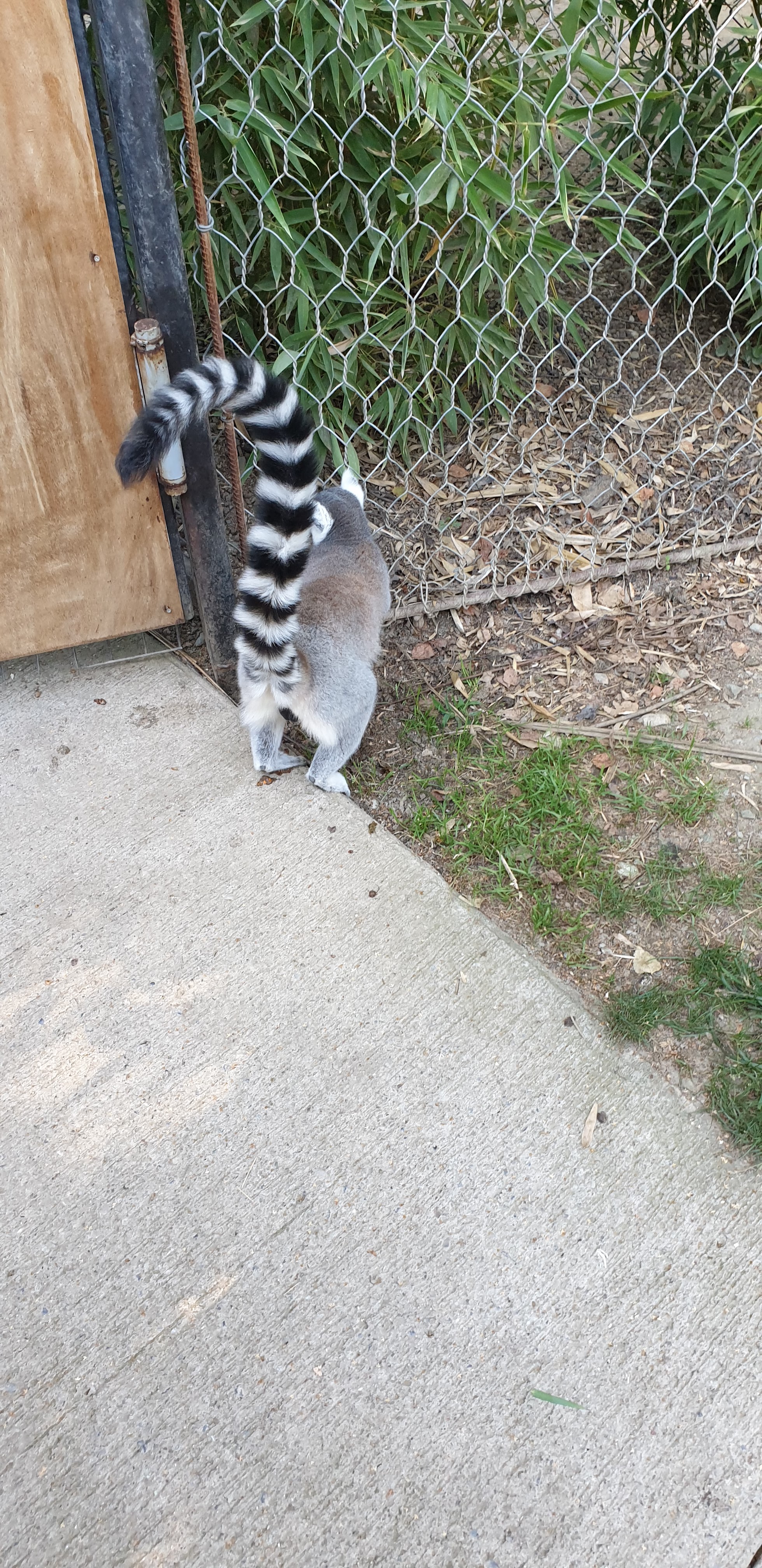 Photo n° 4 de l'avis de Thomas.e fait le 15/09/2020 à 14:40