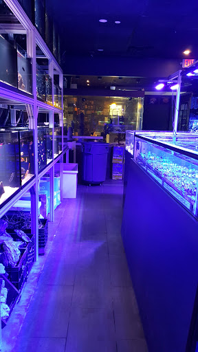 Tropical Fish Store «Manhattan Aquariums», reviews and photos, 522 W 37th St, New York, NY 10018, USA