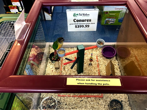 Pet Store «Pet Nation Llc», reviews and photos, 1898 Andorra St, Navarre, FL 32566, USA