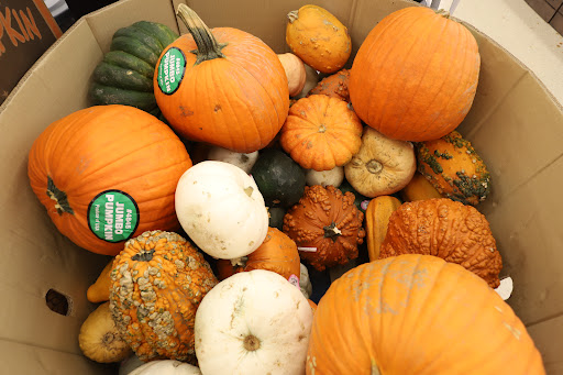 Grocery Store «Food Lion», reviews and photos, 411 W Lincoln St, Tullahoma, TN 37388, USA