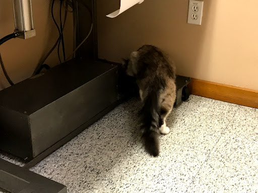 4818 N Lombard St, Portland, OR 97203, USA