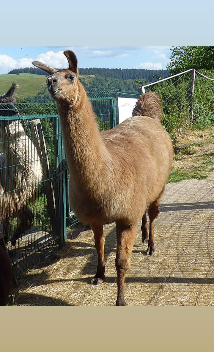 Photo n° 2 de l'avis de Ludivine.n fait le 19/07/2019 à 12:47
