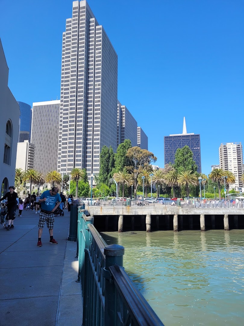 San Francisco, Amerika Birleşik Devletleri