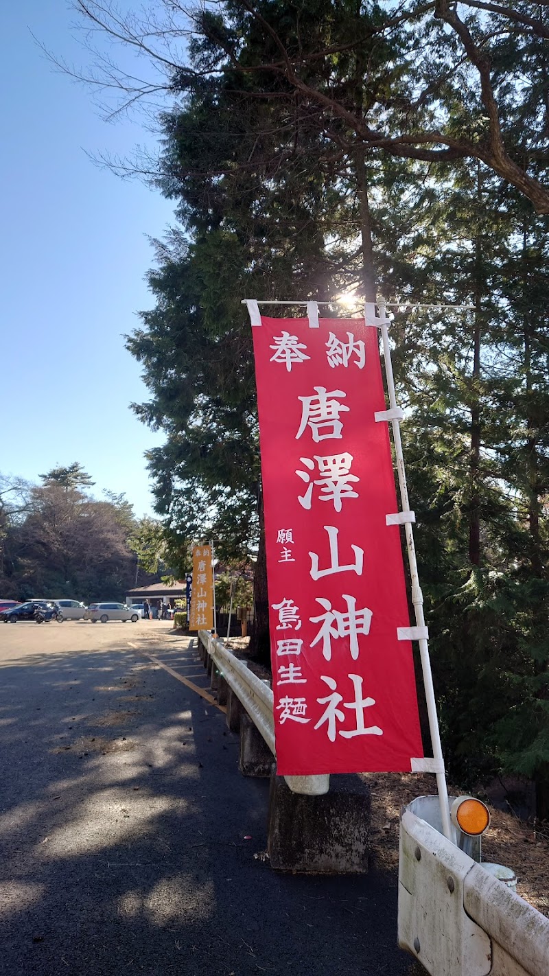 唐澤山神社 栃木県佐野市富士町 神社 グルコミ