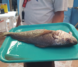 Teacapan Mariscos Col. Moderna photo