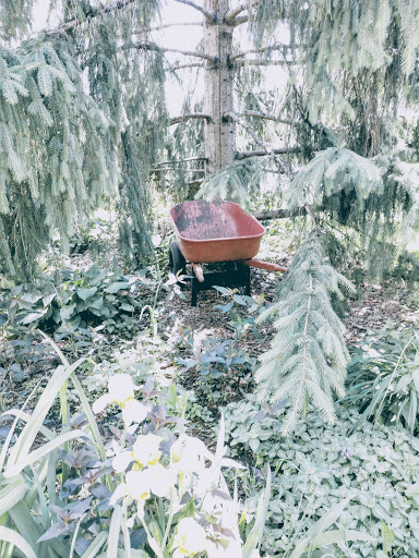 Park «Pearl Park», reviews and photos, 414 E Diamond Lake Rd, Minneapolis, MN 55419, USA