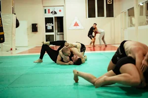 Ronin MMA Lucca image