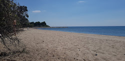 Photo de Platja el paradis avec un niveau de propreté de assez propre