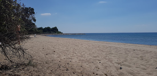 Platja el paradis
