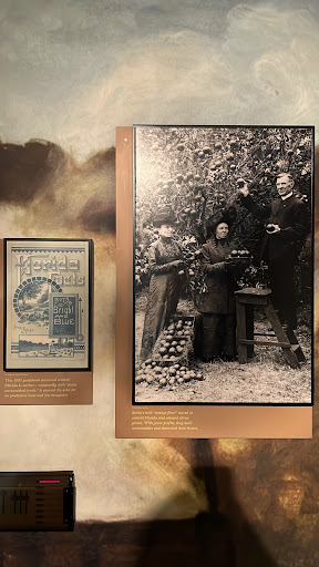 Historical Society «Orange County Regional History Center», reviews and photos, 65 E Central Blvd, Orlando, FL 32801, USA