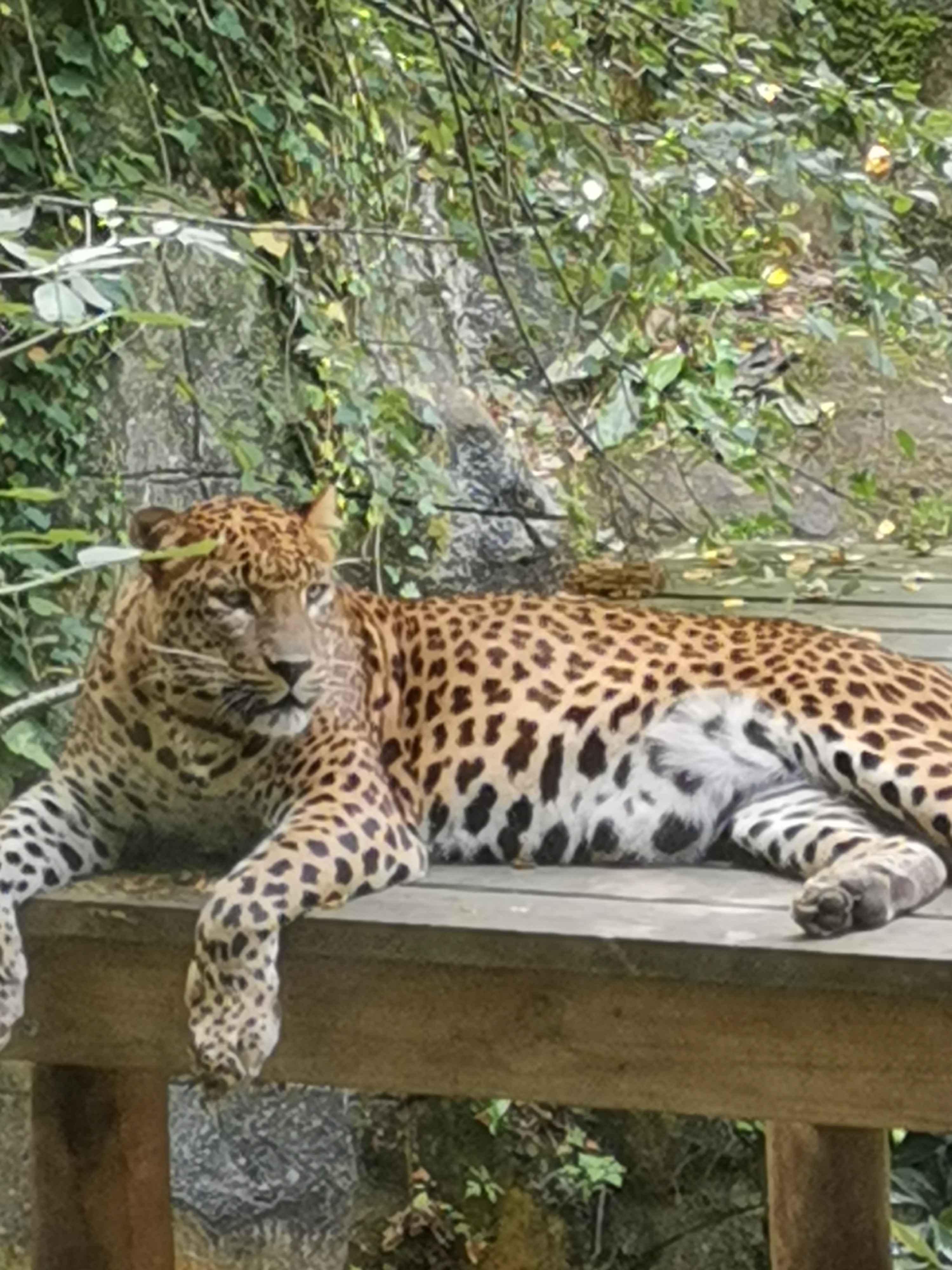 Photo n° 6 de l'avis de Julien.a fait le 23/08/2023 à 07:39