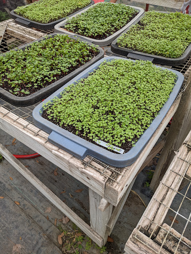 Farm «Sweetwater Organic Community Farm», reviews and photos, 6942 W Comanche Ave, Tampa, FL 33634, USA