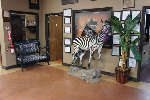 Car Dealer «Northstar Auto Group», reviews and photos, 9174 North Fwy, Houston, TX 77037, USA