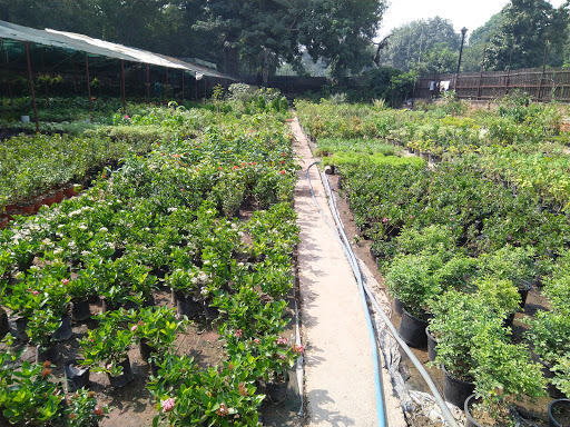 Priya Nursery Vertical Garden