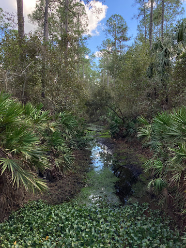 Nature Preserve «Gator Creek Reserve», reviews and photos, 9725 US Hwy 98 N, Lakeland, FL 33809, USA