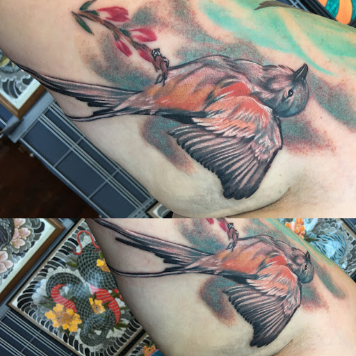 Tattoo Shop «Moth Studio», reviews and photos, 428 W Commercial St, Springfield, MO 65803, USA