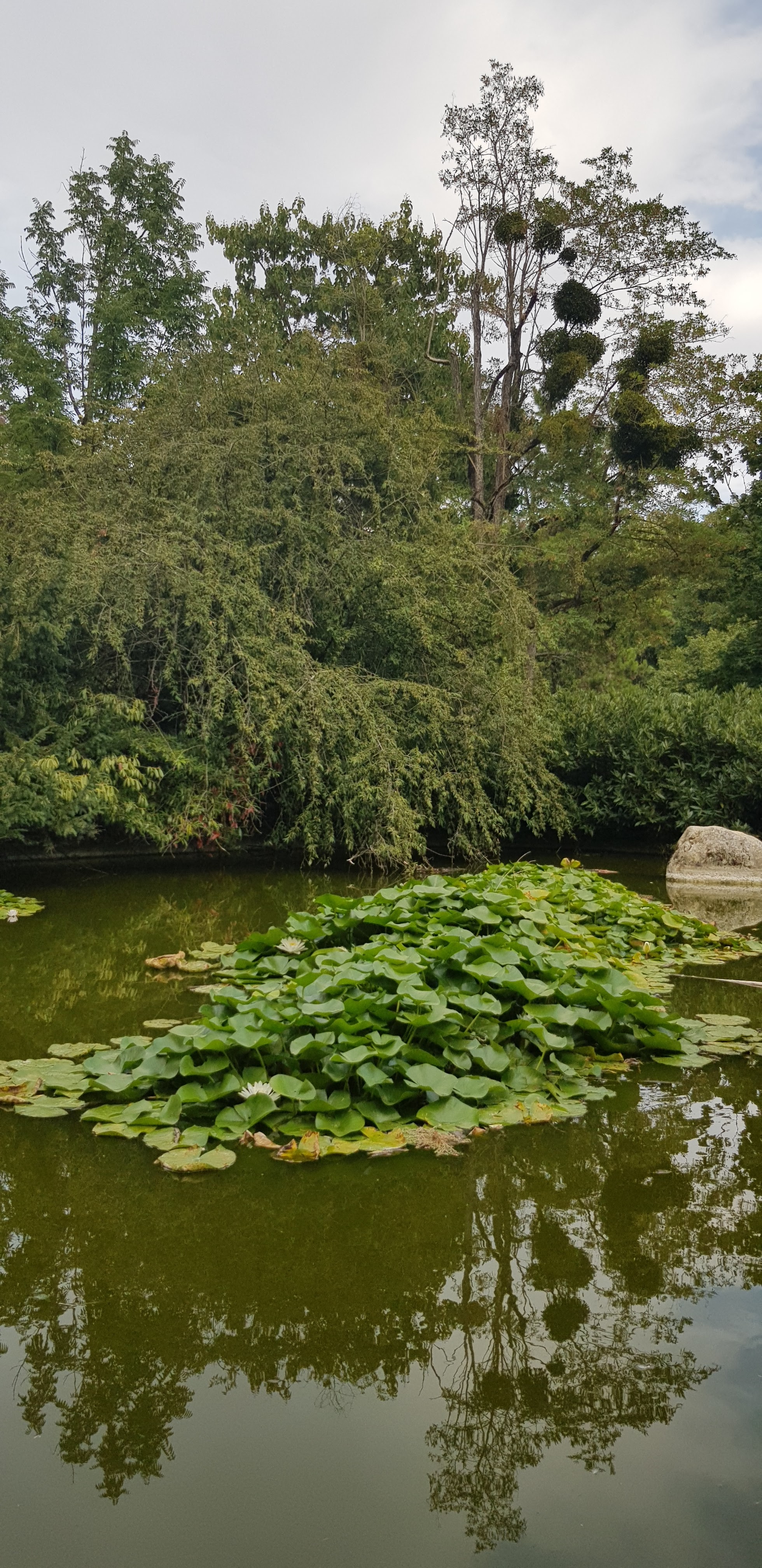 Photo n° 4 de l'avis de C... fait le 14/08/2022 à 15:24