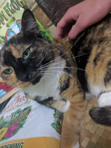 Pet Supply Store «Northside Grange», reviews and photos, 4116 Hamilton Ave, Cincinnati, OH 45223, USA