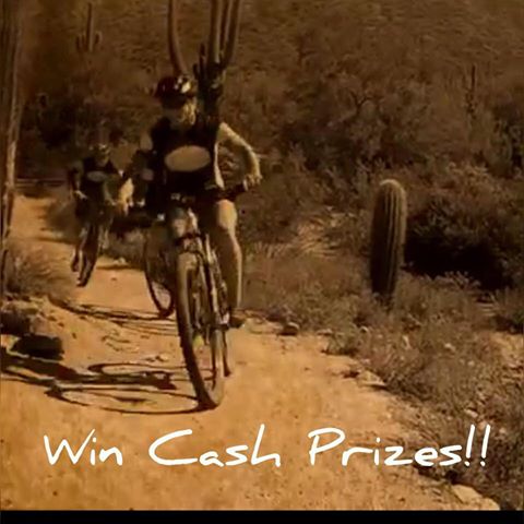 Bicycle Repair Shop «Two Wheel Jones Bicycles - Mesa», reviews and photos, 2837 N Power Rd #110, Mesa, AZ 85215, USA