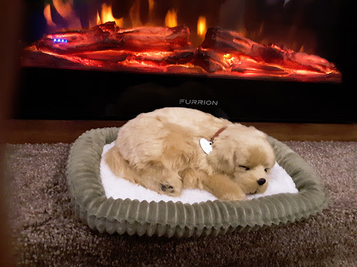 American Restaurant «Cracker Barrel Old Country Store», reviews and photos, 13561 SW 17th Ct, Ocala, FL 34473, USA