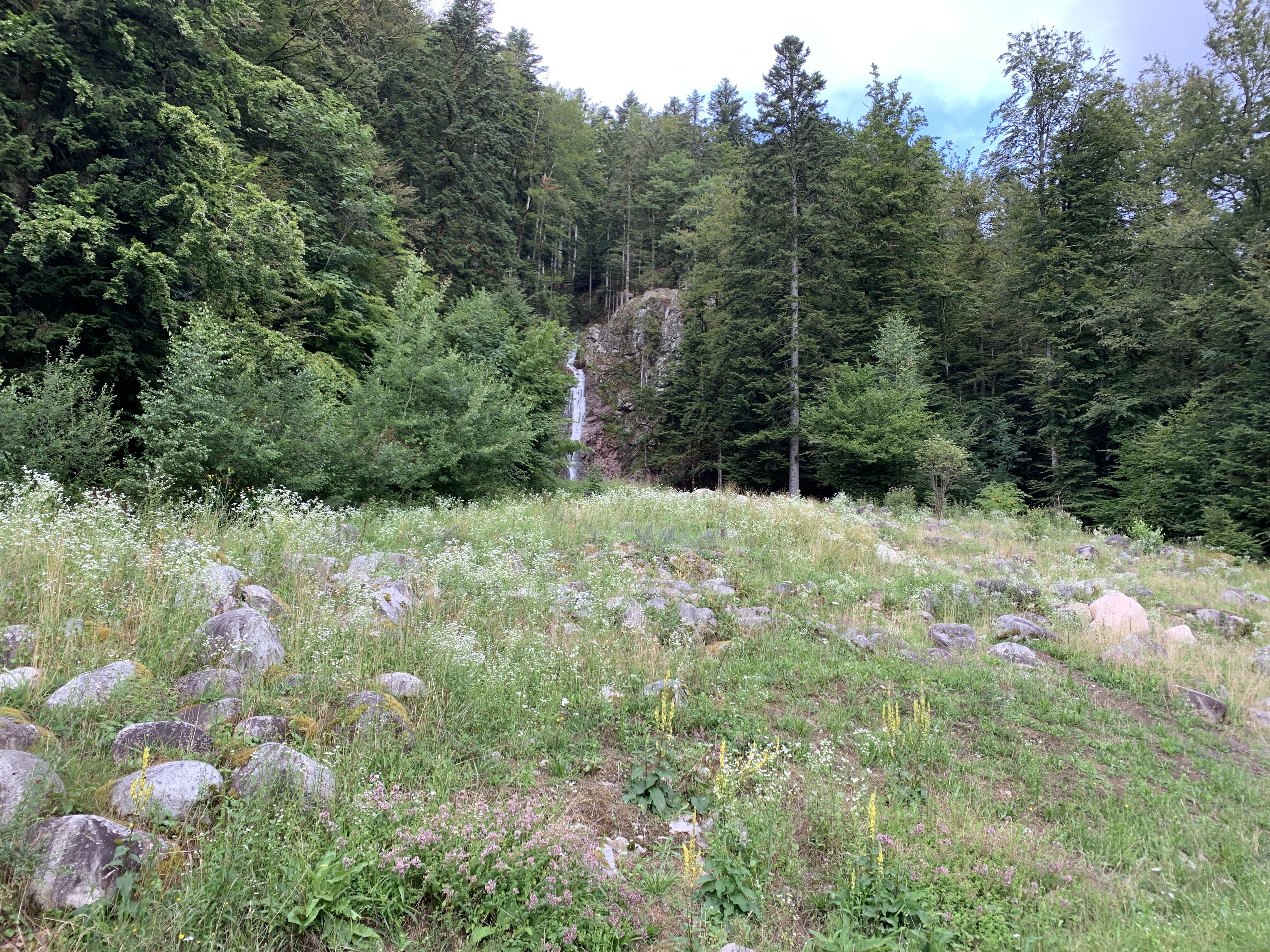 Photo n° 5 de l'avis de Pierrina.a fait le 14/08/2022 à 15:18