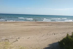 Playa Norte de Arenas Verdes image