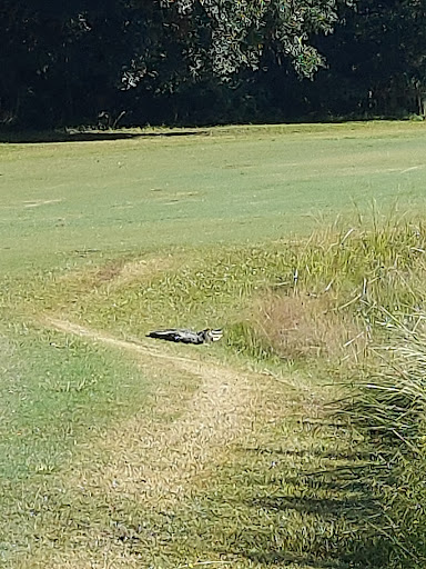Golf Club «Jekyll Island Golf Club», reviews and photos, 322 Captain Wylly Rd, Jekyll Island, GA 31527, USA