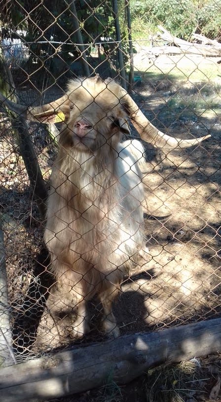 Photo n° 11 de l'avis de lusignan.n fait le 26/10/2018 à 04:59