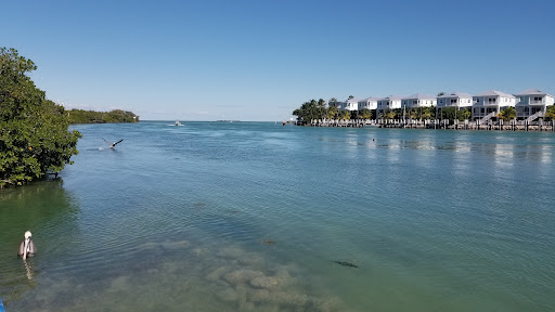 Aquarium «Florida Keys Aquarium Encounters», reviews and photos, 11710 Overseas Hwy, Marathon, FL 33050, USA