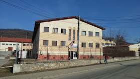 Liceul Tehnologic Dinu Brătianu