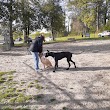 Salisbury City Dog Park