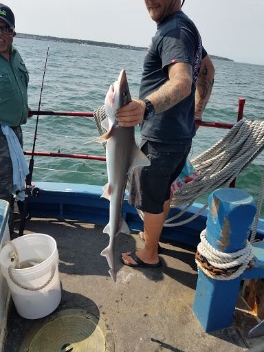 Golf Club «Mink Meadows Golf Club», reviews and photos, 320 Golf Club Rd, Vineyard Haven, MA 02568, USA