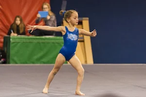 Sapphire Gymnastics Academy image