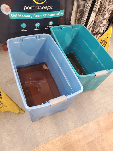 Discount Store «Big Lots», reviews and photos, 775 S Orange Blossom Trail, Apopka, FL 32703, USA