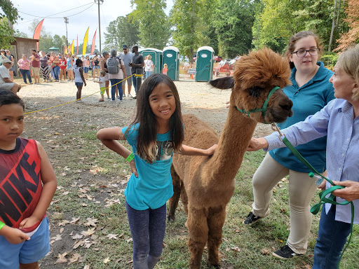 Farm «Buford Corn Maze.», reviews and photos, 4470 Bennett Rd, Buford, GA 30519, USA