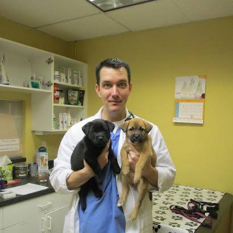 Bay Country Veterinary Hospital - Annapolis