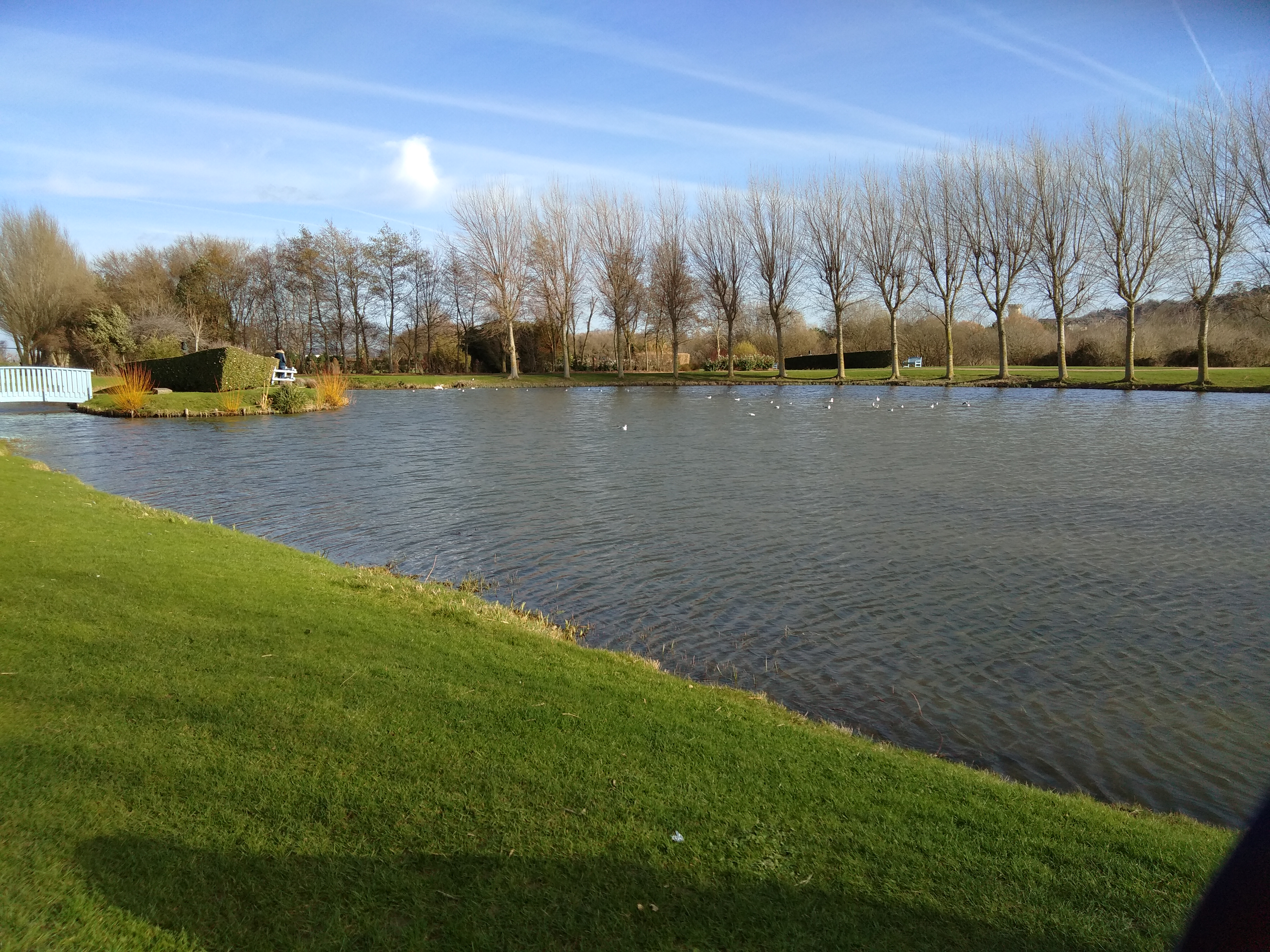 Photo n° 1 de l'avis de Belle.o fait le 02/03/2019 à 16:11