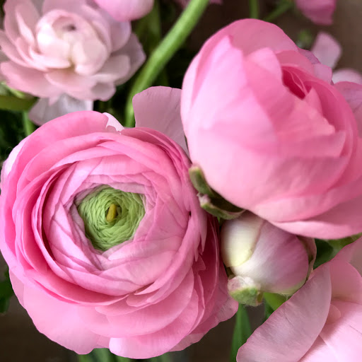 Florist «Two Little Buds», reviews and photos, 3431 Princeton Rd #100, Hamilton, OH 45011, USA