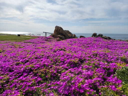 Golf Course «Monterey Peninsula Dunes Golf Course», reviews and photos, 3000 Club Rd, Pebble Beach, CA 93953, USA