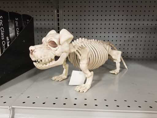 Home Goods Store «At Home», reviews and photos, 209 S Royal Oaks Blvd, Franklin, TN 37064, USA