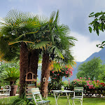 Photo n°7 de l'avis de Petra.a fait le 26/06/2023 à 09:23 sur le  Good Life Hotel Garden à Pieve