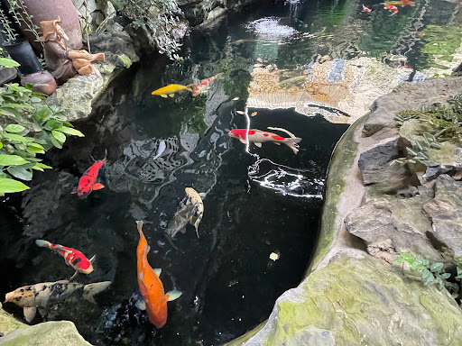 Top 20 quán cafe sân vườn Thành phố Đông Hà Quảng Trị 2022