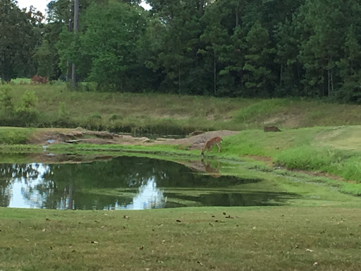 Golf Club «Cypresswood Golf Club», reviews and photos, 21602 Cypresswood Dr, Spring, TX 77373, USA