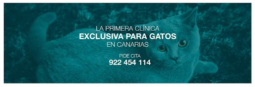Hospitales y veterinarios de urgencia en San Cristóbal de La Laguna de 2024