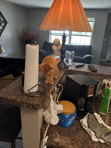 Pet Supply Store «Pet Supplies Plus», reviews and photos, 6030 S Pennsylvania Ave, Lansing, MI 48911, USA