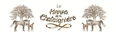Haras de la Chataigniere à Dun-le-Palestel