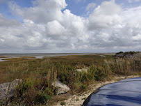 Réserve Naturelle de Moêze-Oléron du Restaurant La Moule à Facettes Dégustation à Dolus-d'Oléron - n°15