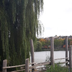 Photo n°1 de l'avis de URSULA.R fait le 12/10/2019 à 13:26 sur le restaurants Haus am See à Stuttgart