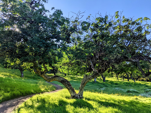 Park «Rockville Hills Regional Park», reviews and photos, 2149 Rockville Rd, Fairfield, CA 94534, USA